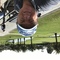 Thumb 83cbca8f 4607 4091 8aff 3e77c4732d3d