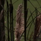 Thumb img 7044