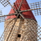 Thumb img 7170