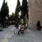 Thumb img 7288