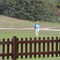 Thumb img 7129
