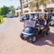 Thumb golf matchplay  109 of 309 