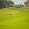 Thumb golf matchplay  130 of 309 
