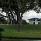 Thumb img 7669