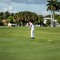 Thumb img 7728