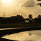 Thumb img 7839