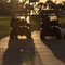 Thumb img 7844