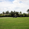Thumb img 1026