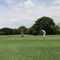Thumb img 1082