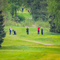 Thumb img 7947