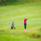 Thumb img 7958