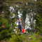 Thumb img 8490