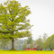 Thumb img 1755