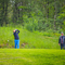 Thumb img 1760