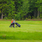 Thumb img 1882