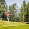 Thumb img 3109