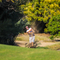 Thumb img 5608